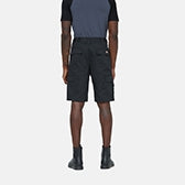 Dickies Everyday Short - Black - DK0A867P