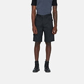 Dickies Everyday Short - Black - DK0A867P