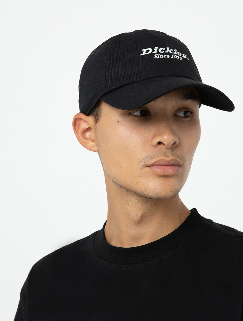 Dickies Twill Dad Hat - Black