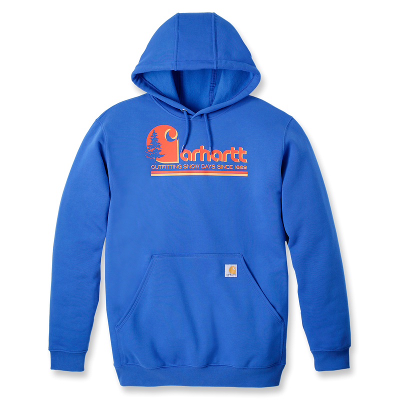 Carhartt grafisch sweatshirt met capuchon - 106498 HG8