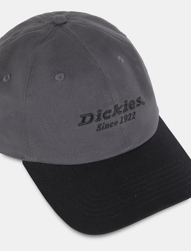 Dickies Twill Dad Hat - Grey/Black