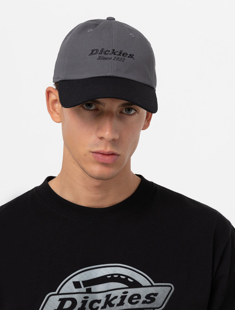 Dickies Twill Dad Hat - Grey/Black