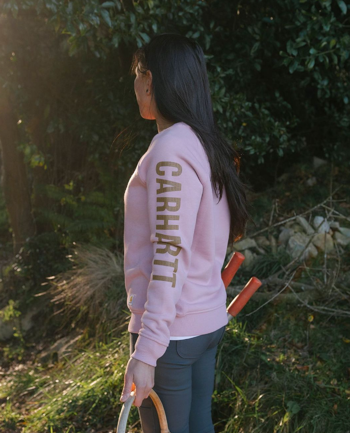 Carhartt Clarksburg-sweatshirt met ronde hals voor dames - V48 104410